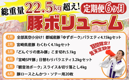 【年末企画】☆総重量22.5kg超え☆豚ボリューム定期便(6ヶ月)_T96-MY01_(都城市) 定期便 ゆずポーク どんぐりの恵み豚 こま切れ SPF バラエティ ロースとんかつ 観音池ポーク