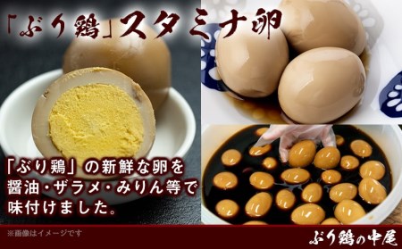 地鶏「ぶり鶏」＆日向鶏 炭火焼きセット_MJ-9306_(都城市) 都城産地鶏「ぶり鶏」炭火焼き(120g×2)/スタミナ卵(4個パック) 宮崎県産地鶏「日向鶏」炭火焼き(120g×2) 平飼いブランド鶏 