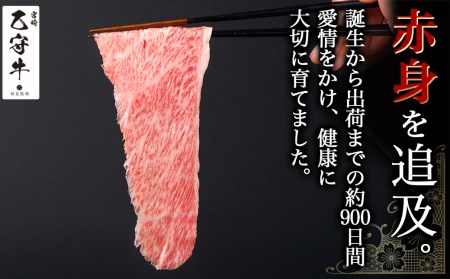 数量限定！【宮崎牛A5】小間切れ500g(乙守牛)_19-6502_(都城市) 都城産宮崎牛 乙守牛 A5 小間切れ 500g×1パック 牛肉 