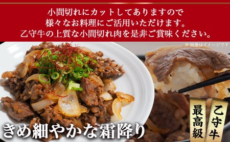 数量限定！【宮崎牛A5】小間切れ500g(乙守牛)_19-6502_(都城市) 都城産宮崎牛 乙守牛 A5 小間切れ 500g×1パック 牛肉 