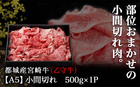 数量限定！【宮崎牛A5】小間切れ500g(乙守牛)_19-6502_(都城市) 都城産宮崎牛 乙守牛 A5 小間切れ 500g×1パック 牛肉 