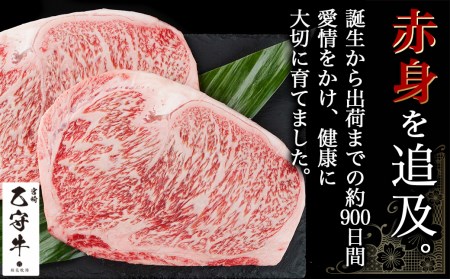 数量限定！【宮崎牛A5】ロースステーキ 計約440g(2枚) (乙守牛)_26-6501_(都城市) 都城産宮崎牛 乙守牛 A5 リブロースもしくはサーロイン 2枚 約440g 真空パック ギフト 贈答用 