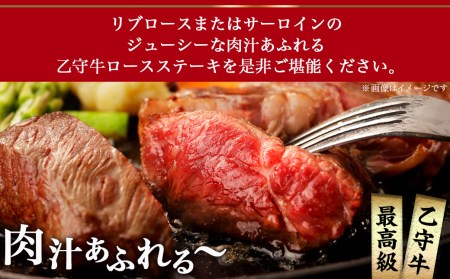 数量限定！【宮崎牛A5】ロースステーキ 計約440g(2枚) (乙守牛)_26-6501_(都城市) 都城産宮崎牛 乙守牛 A5 リブロースもしくはサーロイン 2枚 約440g 真空パック ギフト 贈答用 