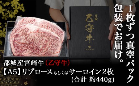 数量限定！【宮崎牛A5】ロースステーキ 計約440g(2枚) (乙守牛)_26-6501_(都城市) 都城産宮崎牛 乙守牛 A5 リブロースもしくはサーロイン 2枚 約440g 真空パック ギフト 贈答用 