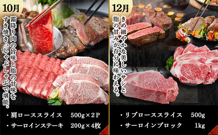 宮崎牛定期便(6回お届け) Eコース_TAI6-2501_(都城市) 宮崎牛 ウデ モモ バラ カルビ リブロース 肩ロース サーロイン スライス 切り落とし ブロック 焼肉 ステーキ