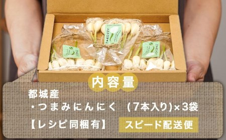 スーパーフード！つまみにんにく 7本入り×3袋≪みやこんじょ特急便≫ - つまみにんにく 7本入 3袋 水耕栽培 発芽にんにく レシピ同梱 にんにく特有のにおい残りが少ない 冷蔵配送 LA-C901-Q