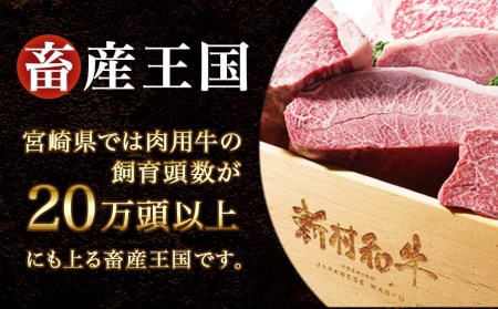 都城産宮崎牛赤身モモステーキ500g＆牛スジ肉1kg_21-4201_(都城市) 都城産宮崎牛 赤身モモステーキ 250g×2枚 牛スジ肉（真空）500g×2袋 宮崎牛 牛肉 モモ ステーキ ギフト 贈答用