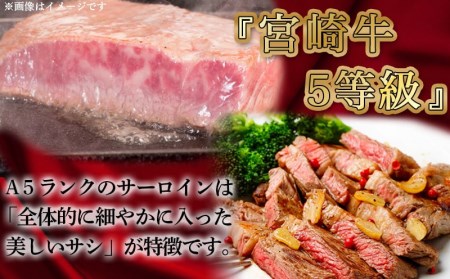 【A5】肉厚！宮崎牛サーロインハーフカットステーキ2枚≪みやこんじょ特急便≫_AD-0112-Q_(都城市) A5ランク 都城産宮崎牛 真空 サーロイン ハーフカットステーキ 200g×2枚 ステーキソース 塩コショウ