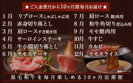 黒毛和牛食べ尽くし10ヶ月定期便_TAC10-4201_(都城市) 黒毛和牛 しゃぶしゃぶ/焼肉/ステーキ/すき焼き/牛すじ 10ヶ月間毎月お届け 定期便 牛肉 急速冷凍 黒毛和牛食べ尽くし10ヶ月定期便