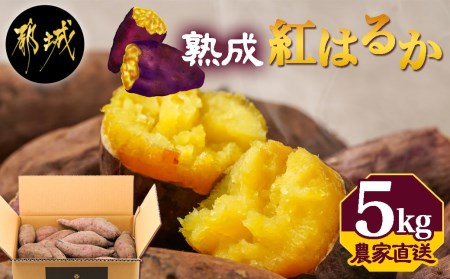【農家直送】山下農園 熟成紅はるか 5kg_LD-I704_(都城市) 紅はるか 5kg 山下農園 さつまいも