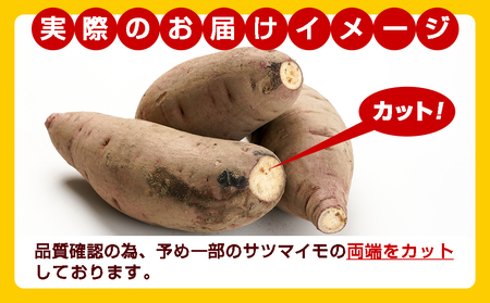 【農家直送】山下農園 熟成紅はるか 5kg_LD-I704_(都城市) 紅はるか 5kg 山下農園 さつまいも