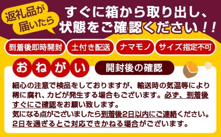 【農家直送】山下農園　熟成紅はるか 10kg_12-I701_(都城市) 紅はるか 山下農園 さつまいも