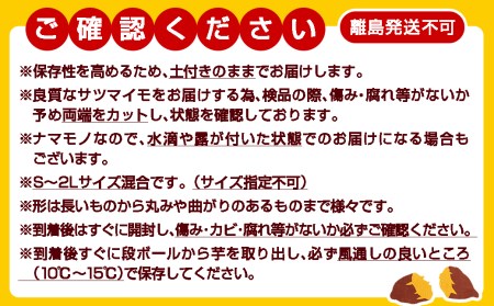 【農家直送】山下農園　熟成紅はるか 10kg_12-I701_(都城市) 紅はるか 山下農園 さつまいも