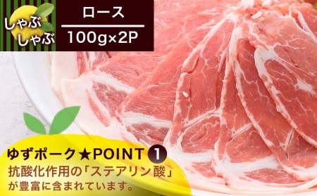 全部真空小分け!都城産豚「ゆずポーク」のしゃぶしゃぶ700g(ゆずたれ付き)_AA-1411_(都城市)都城産豚 ゆずポーク 真空パック ロース バラ モモ しゃぶしゃぶ ゆずしゃぶたれ