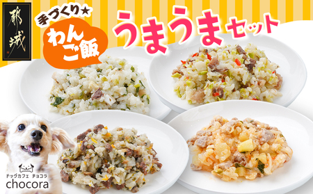 手づくり☆わんご飯『うまうまセット』_12-J501_(都城市) 犬用 手づくりご飯 ぶり大根 馬肉ッパ 牛しぐれ 豚肉ポトフ ドッグフード ペットフード