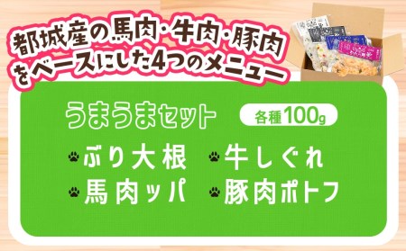 手づくり☆わんご飯『うまうまセット』_12-J501_(都城市) 犬用 手づくりご飯 ぶり大根 馬肉ッパ 牛しぐれ 豚肉ポトフ ドッグフード ペットフード