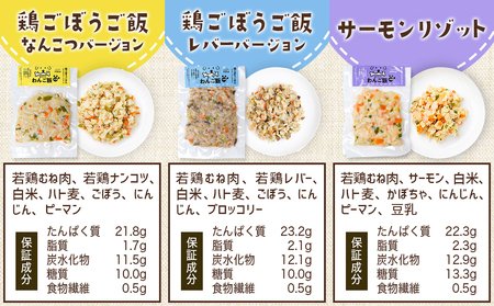 手づくり☆わんご飯『10種のわんだふるセット』_AC-J501_(都城市) 犬用 手づくりご飯 鶏ごぼうご飯 サーモンリゾット すき焼き風ご飯 とまとスープご飯 ぶり大根 馬肉ッパ 牛しぐれ等 ペットフード