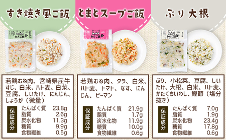 手づくり☆わんご飯『10種のわんだふるセット』_AC-J501_(都城市) 犬用 手づくりご飯 鶏ごぼうご飯 サーモンリゾット すき焼き風ご飯 とまとスープご飯 ぶり大根 馬肉ッパ 牛しぐれ等 ペットフード