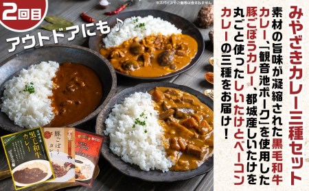 とろ～り濃厚♪かけるだけ!お試し定期便3ヶ月_T15-MY01_(都城市) あたりや「雷々餡」 みやざきカレー3種セット とろける宮崎牛ビーフシチュー3パックセット コラボ定期便 お試し ポスト投函