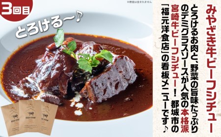 とろ～り濃厚♪かけるだけ!お試し定期便3ヶ月_T15-MY01_(都城市) あたりや「雷々餡」 みやざきカレー3種セット とろける宮崎牛ビーフシチュー3パックセット コラボ定期便 お試し ポスト投函