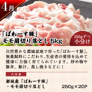 【新生活応援♪2023】料理の味方！切り落とし定期便(3ヶ月) / _T45-MY08_【期間限定!!】ぱわーす豚 モモ肩切り落とし5kg バイオ茶ポーク 5kgハッピーセット 高城の里 切り落とし3kg 3ヶ月定期便