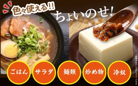 【お試し♪】宮崎辛飯!!ピリッと辛いおかずラー油2個_LA-J901-PF_(都城市) 宮崎辛飯 ラー油 ごはんのお供※ポスト投函