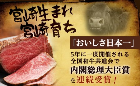 宮崎牛ローストビーフ2本セット(ごまだれステーキソース付き)_AC-J901_(都城市) 宮崎県産 宮崎牛ローストビーフ 200g×2本 ごまだれステーキソース 150g×1個 ローストビーフ