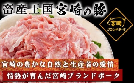 宮崎ブランドポーク切り落とし3kg_12-I501_(都城市) ブランド豚 小分けパック 宮崎県産 カレー 生姜焼き 肉じゃが