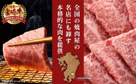宮崎牛カルビ焼肉400g_MJ-I901_(都城市) 宮崎県産宮崎牛 カルビ焼肉用 焼肉 バラ肉 カルビ 真空 真空スキンパック 急速冷凍 贈答用