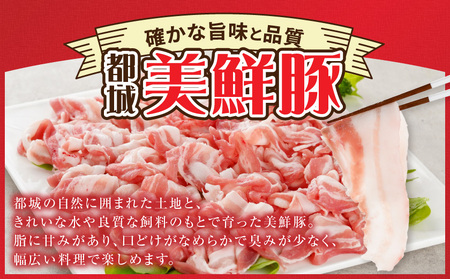 都城美鮮豚バラしゃぶ1kgセット(250g×4パック)_AA-5401_(都城市) 都城美鮮豚 バラしゃぶ 250g×4 ミルフィーユ鍋 しゃぶしゃぶ 炒め物 丼もの
