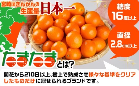 《先行受付!》 完熟きんかん「たまたまL&2L」 計1kg (スタンドパック入り)_AO-0104_(都城市) みやざきブランド 完熟きんかん たまたま Lサイズ 2Lサイズ スタンドパック