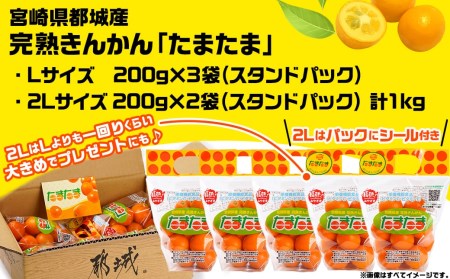 《先行受付!》 完熟きんかん「たまたまL&2L」 計1kg (スタンドパック入り)_AO-0104_(都城市) みやざきブランド 完熟きんかん たまたま Lサイズ 2Lサイズ スタンドパック