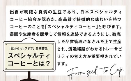 スペシャルティコーヒー(豆)100g×3袋セット_12-C502_(都城市) コーヒー豆 ダークロースト・ミディアムロースト・ライトロースト お任せで3袋 計300g 焙煎の違い 焙煎時間 風味 コク 酸味 甘み 珈琲豆