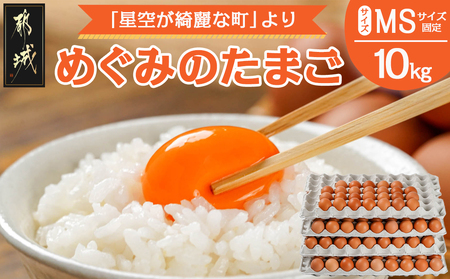 星空が綺麗な町より～「めぐみのたまご」 (MSサイズ)10kg_17-6801_(都