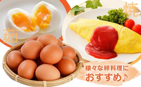 星空が綺麗な町より～「めぐみのたまご」 (MSサイズ)10kg_17-6801_(都