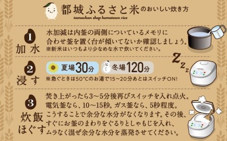 都城ふるさと米(ひのひかり)無洗米10kg_MJ-9021_(都城市) 都城産 ひの