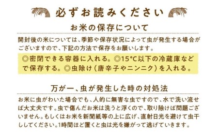 都城ふるさと米(ひのひかり)無洗米10kg_MJ-9021_(都城市) 都城産 ひの