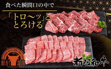 【黒毛和牛】霜降りカルビ&赤身カルビ1kg焼肉セット_AD-4202_(都城市) 国産 黒毛和牛 和牛 霜降り 赤身 カルビ 1kg 