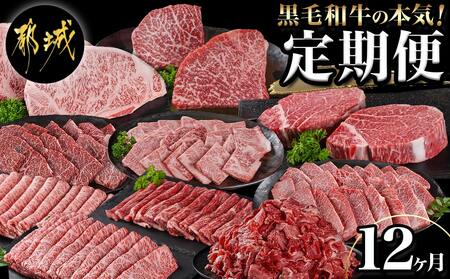 黒毛和牛の本気!食べ尽くし12ヶ月定期便_TAC12-4201_(都城市) 国産 黒毛和牛 和牛 肩ローススライス サーロインステーキ 小間切り落とし 霜降りカルビ モモステーキ 赤身カルビ ロース焼肉 モモスライス ローススライス ヒレステーキ 定期便