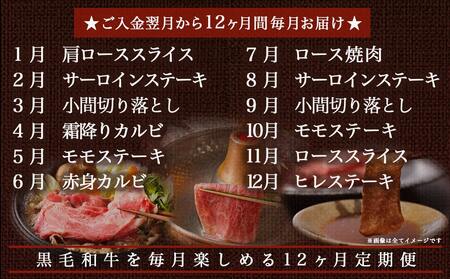 黒毛和牛の本気!食べ尽くし12ヶ月定期便_TAC12-4201_(都城市) 国産 黒毛和牛 和牛 肩ローススライス サーロインステーキ 小間切り落とし 霜降りカルビ モモステーキ 赤身カルビ ロース焼肉 モモスライス ローススライス ヒレステーキ 定期便