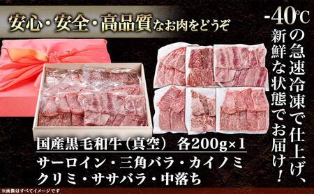 【黒毛和牛】焼肉6種盛り食べ比べセット(真空包装)_33-4201_(都城市) 国産 黒毛和牛 真空 各約200g サーロイン 三角バラ カイノミ クリミ ササバラ 中落ち 焼肉 6種類 