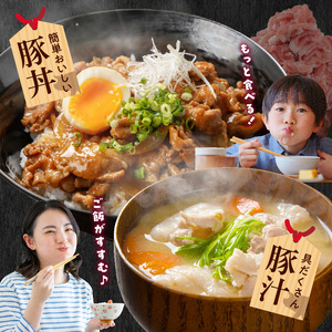 国産豚肉切り落とし5kgラッキーセット_19-3601_(都城市) 250g×20袋 5kg 