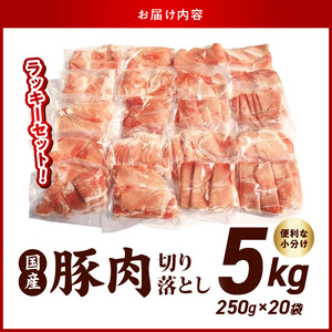 国産豚肉切り落とし5kgラッキーセット_19-3601_(都城市) 250g×20袋 5kg 