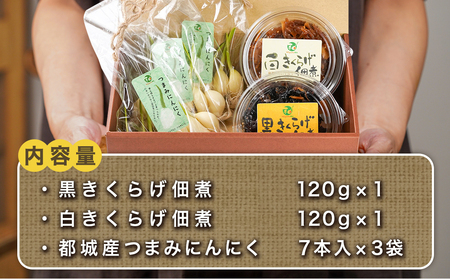 きくらげの佃煮とつまみにんにくのセット_AA-C903_(都城市) 発芽にんにく 都城産 にんにく におい残りが少ない 白きくらげ 黒きくらげ 佃煮  冷蔵配送 | 宮崎県都城市 | ふるさと納税サイト「ふるなび」