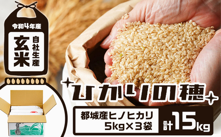 令和3年度産 玄米ヒノヒカリ 15kg