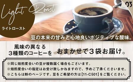 スペシャルティコーヒー(粉)100g×3袋セット_12-C503_(都城市) コーヒー粉 ダークロースト・ミディアムロースト・ライトロースト お任せで3袋 計300g 焙煎の違い 焙煎時間 風味 酸味 甘み 粉挽き 珈琲粉