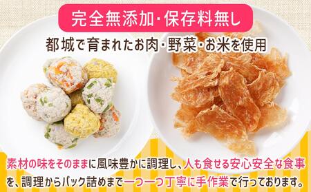 手づくり☆わんご飯「ご褒美セット」_AA-J501_(都城市) わんちゃん用 手づくり 無添加 保存料無し 安心 安全 三色肉団子 ジャーキー 