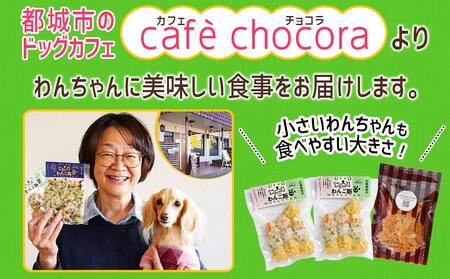 手づくり☆わんご飯「ご褒美セット」_AA-J501_(都城市) わんちゃん用 手づくり 無添加 保存料無し 安心 安全 三色肉団子 ジャーキー 