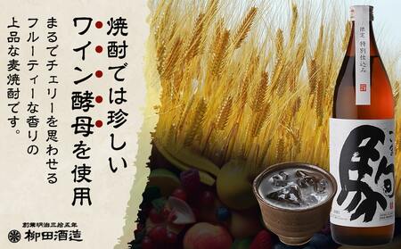 【柳田酒造】≪特別仕込み≫駒(20度)900ml×2本セット_AA-2206_(都城市) 大麦 焼酎 駒 20度 900ml 2本