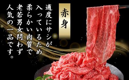 宮崎牛(A5)赤身切り落とし 2.5kg_DI-0102_(都城市) 赤身 切り落とし 宮崎牛 A5ランク